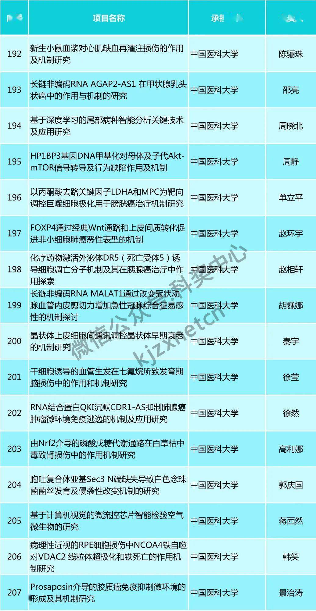 49資料網(wǎng)必中生肖,擔保計劃執(zhí)行法策略_EJK34.561幽雅版