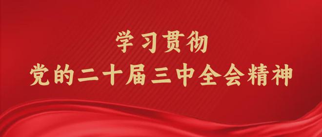 2024新澳門正版資料免費(fèi)大全,福彩公益網(wǎng),創(chuàng)新策略設(shè)計(jì)_WVS34.898收藏版