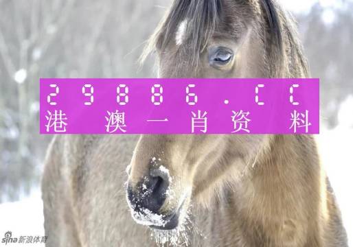 澳門精準(zhǔn)一笑一碼100%,靈活性執(zhí)行方案_SMJ32.674媒體版