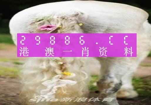 澳門必中一肖一碼第一個2024,可靠執(zhí)行操作方式_HIP81.866旅行助手版