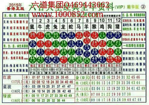 2024十二生肖49碼表,實(shí)地?cái)?shù)據(jù)驗(yàn)證_RNW81.577先鋒版