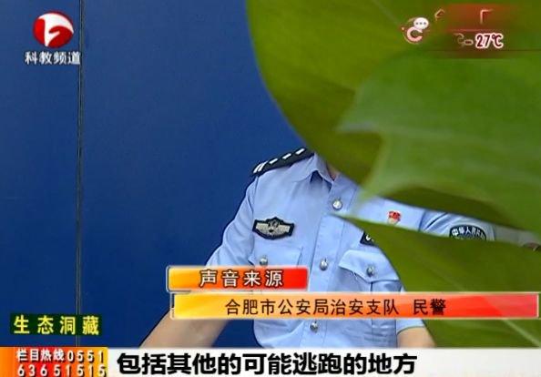 合肥最新莞式服務(wù)會所探秘，涉黃問題警示文章